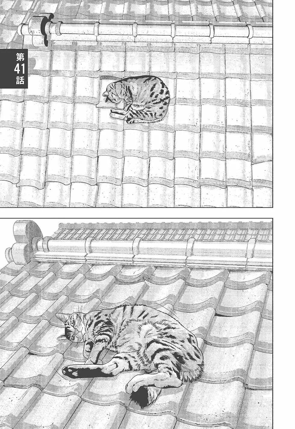 第 82 页