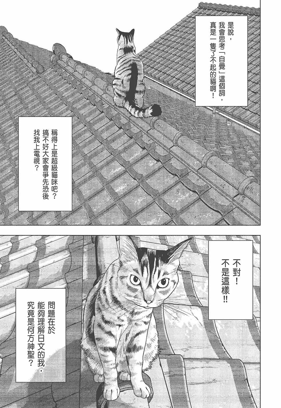 第 84 页