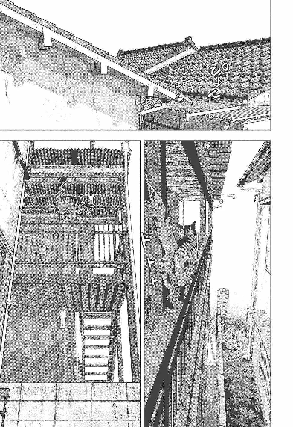 第 86 页
