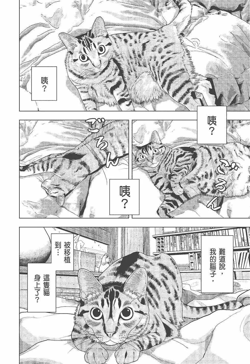 第 97 页