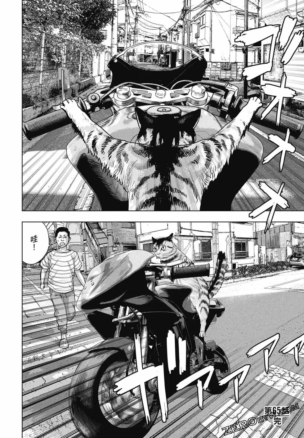 第 46 页