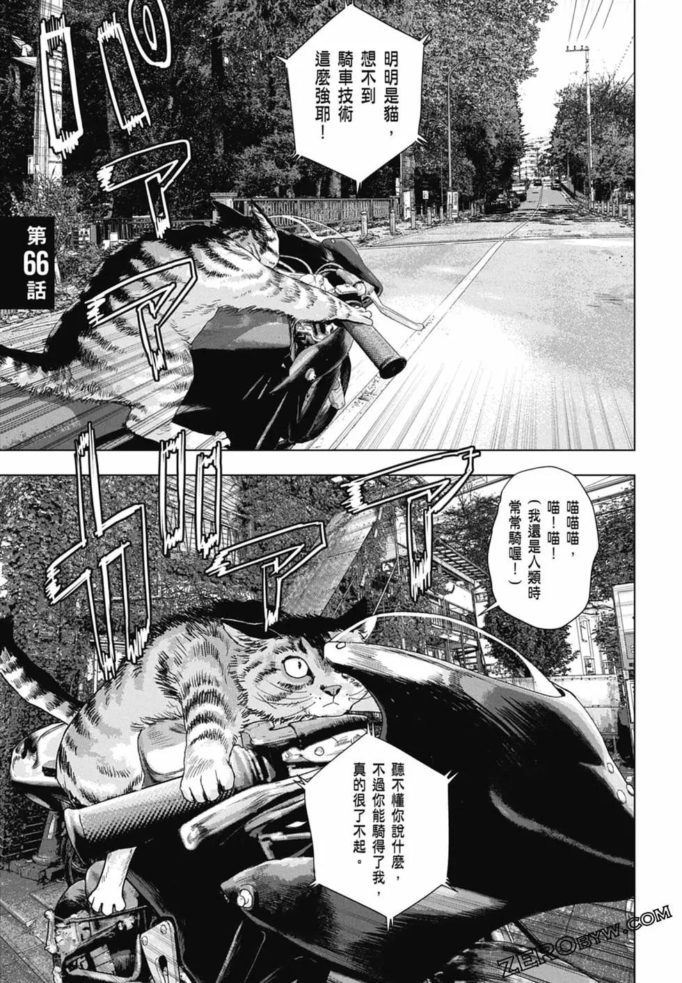 第 47 页