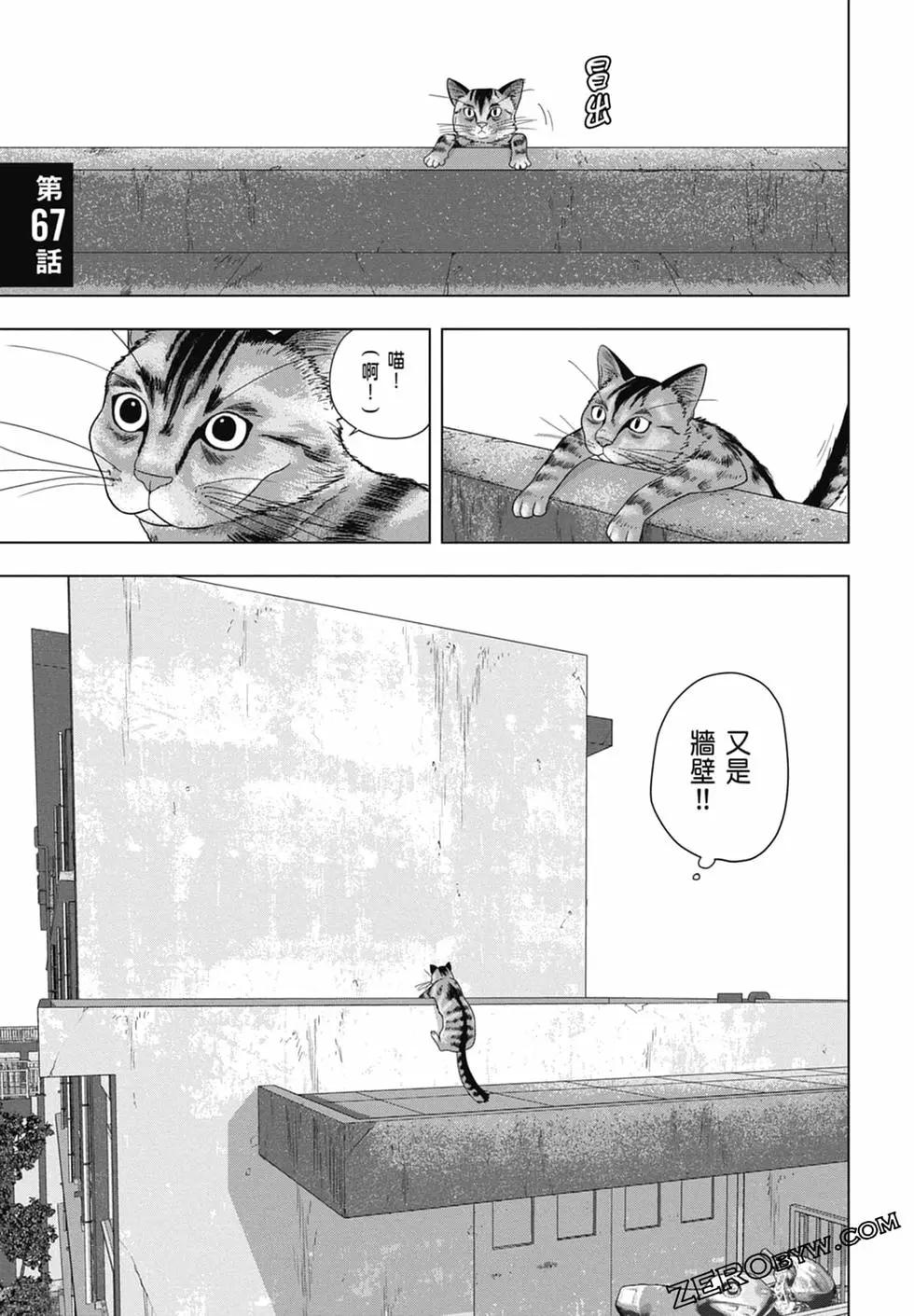第 67 页