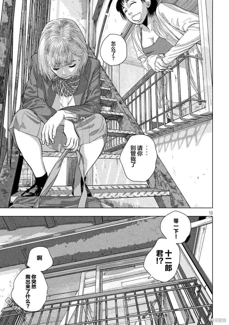 第 13 页
