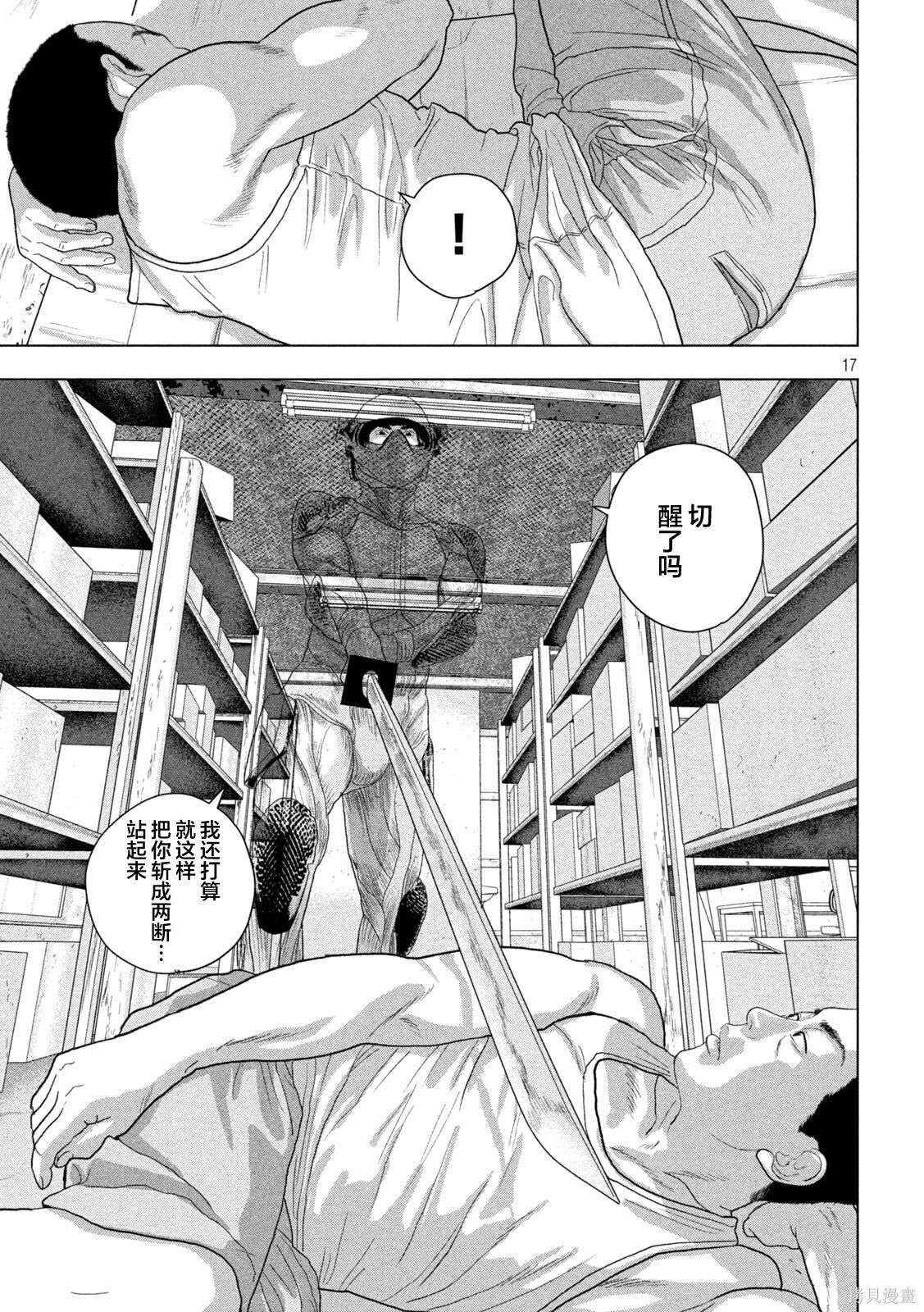 第 17 页