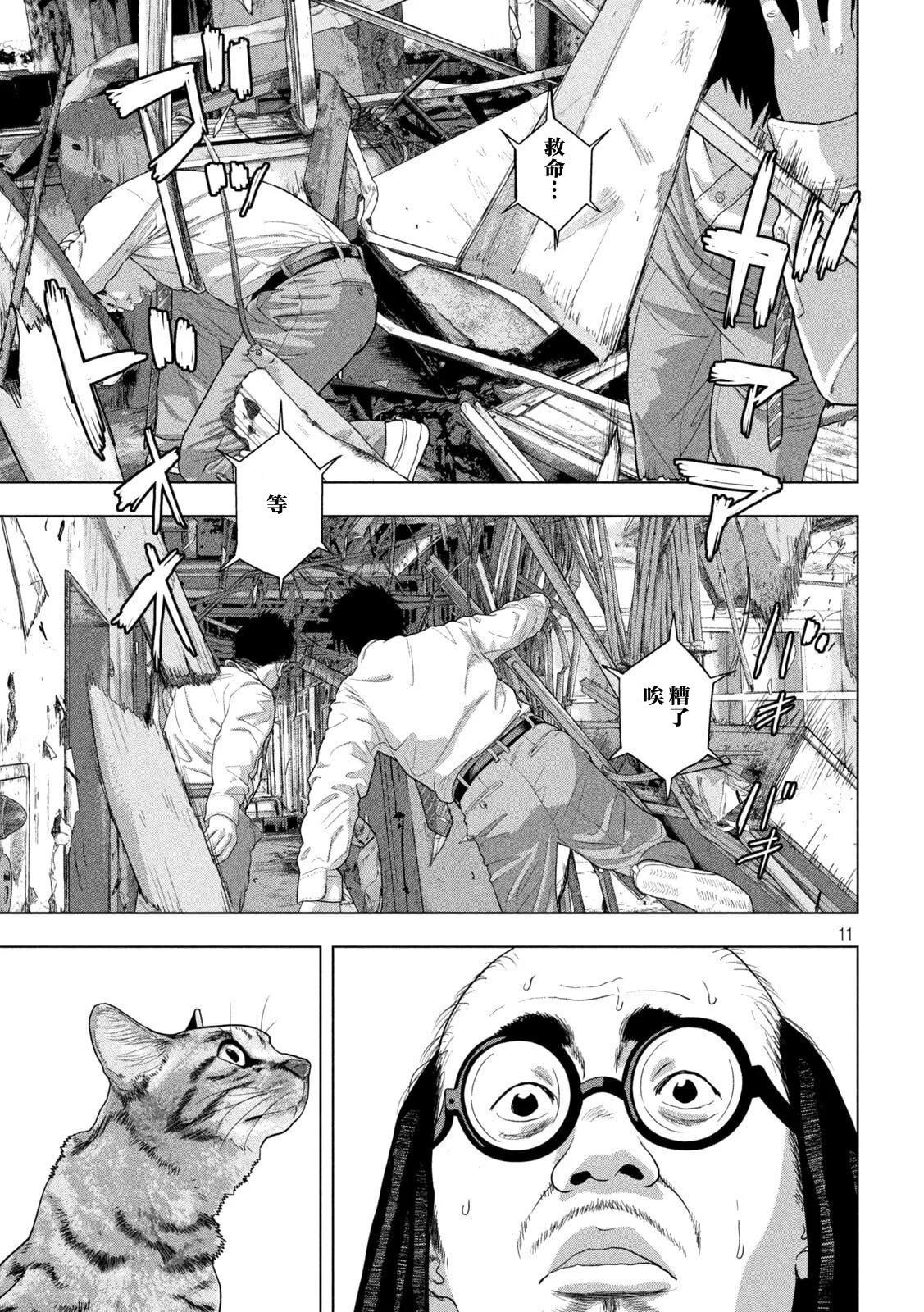 第 11 页