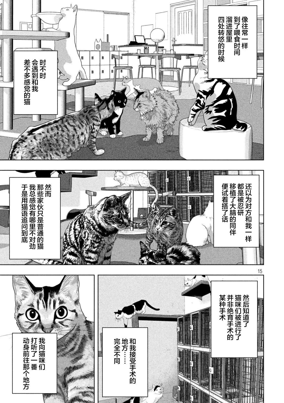 第 15 页