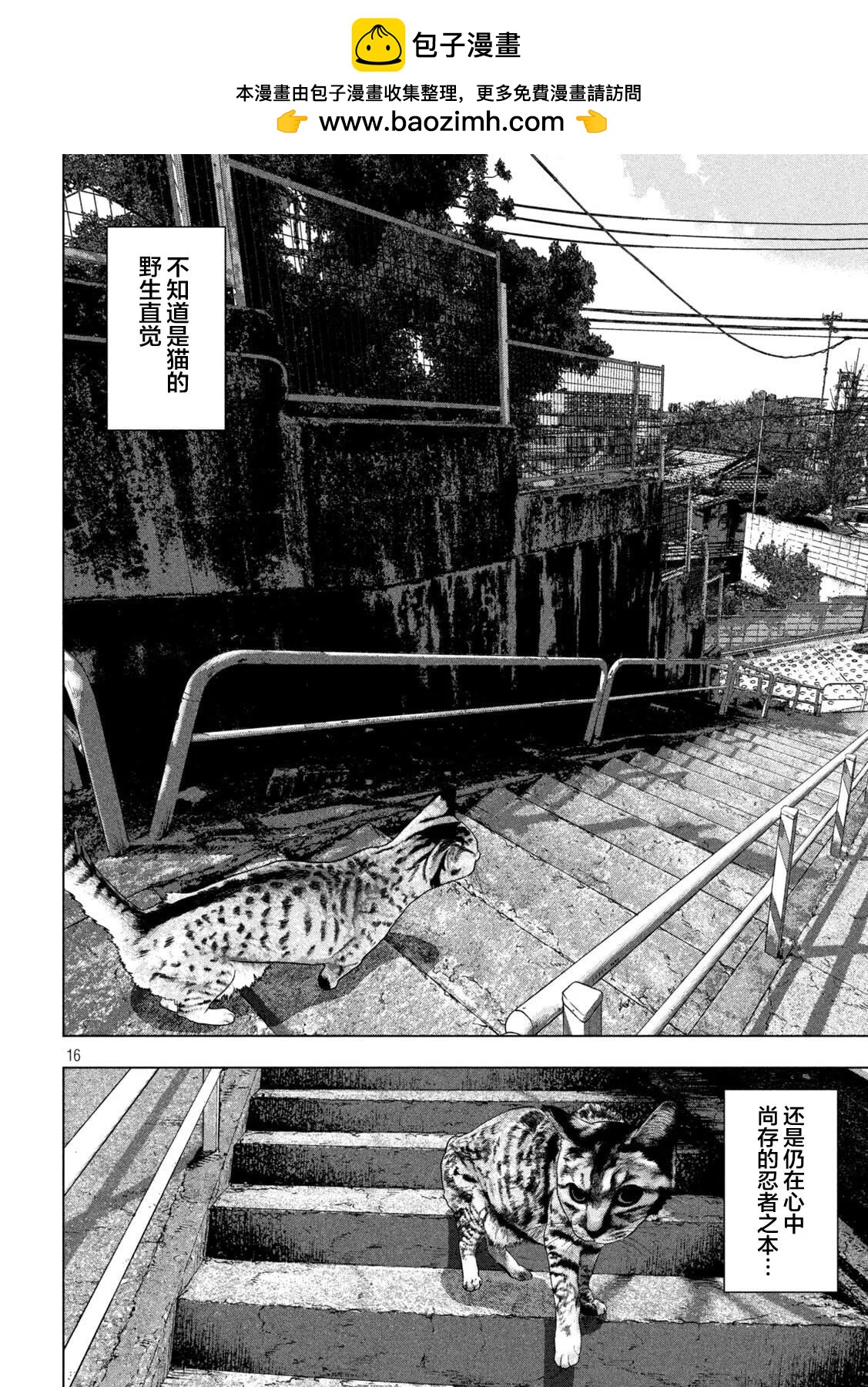第 16 页