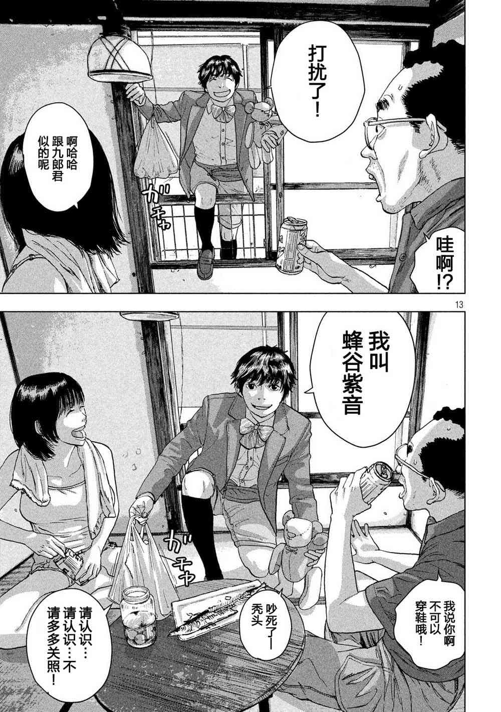 第 13 页