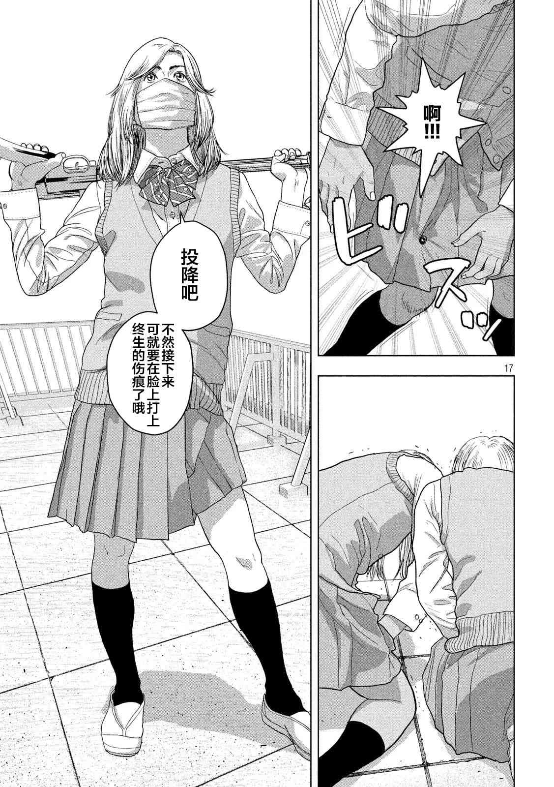 第 17 页