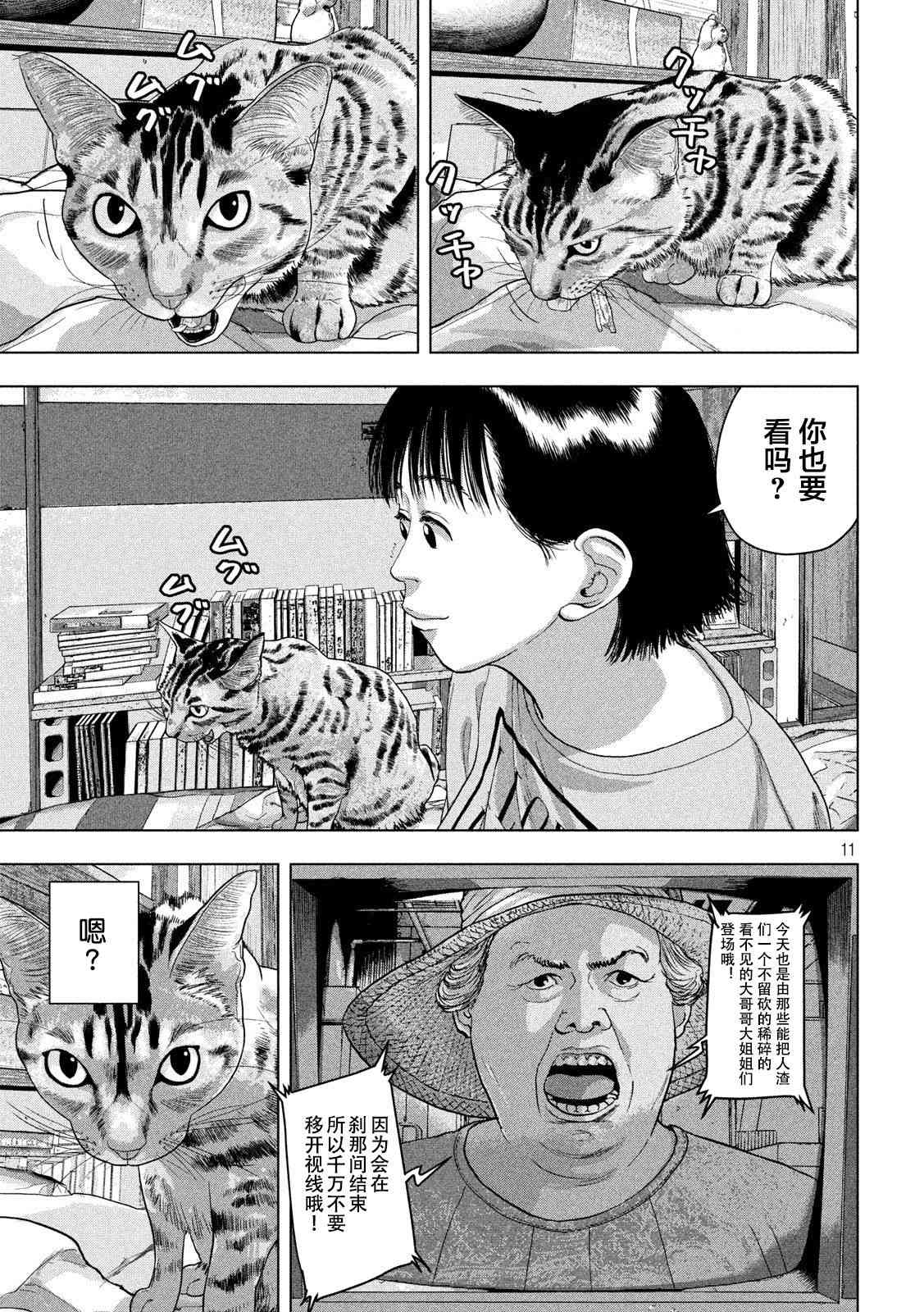 第 11 页