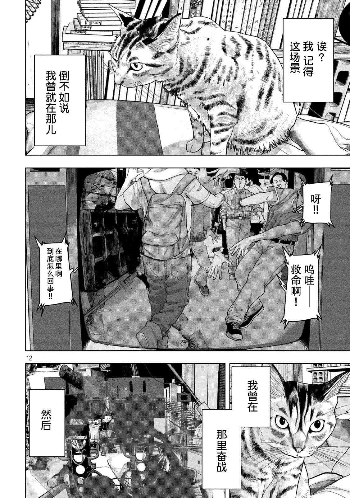 第 12 页