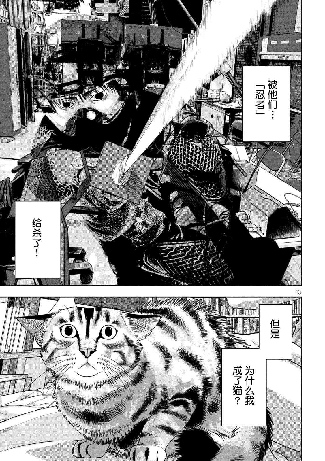 第 13 页