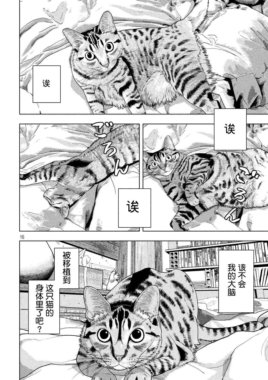第 16 页