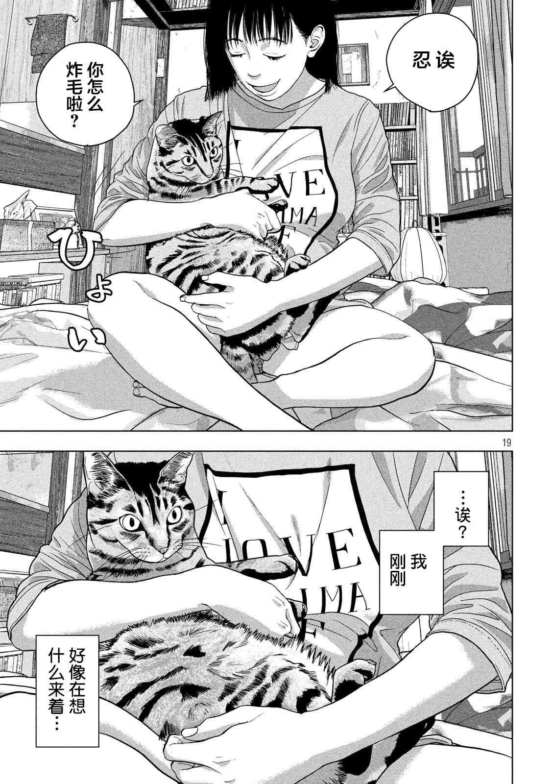 第 19 页