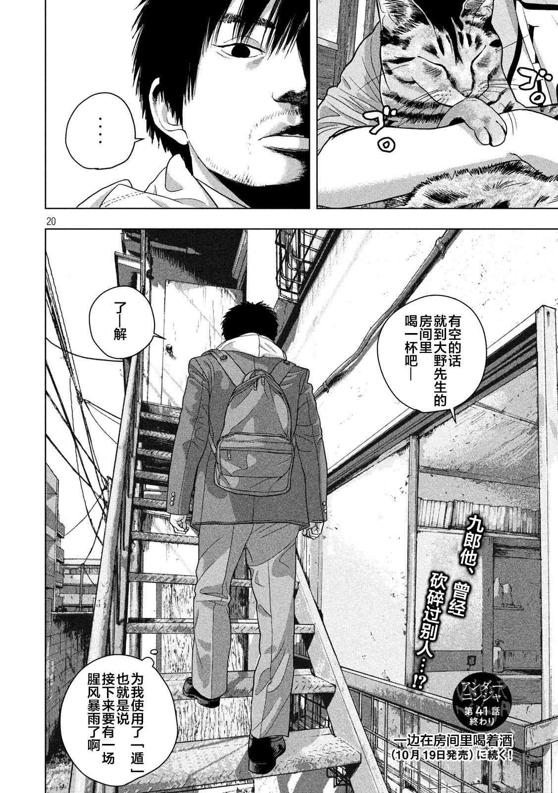 第 20 页