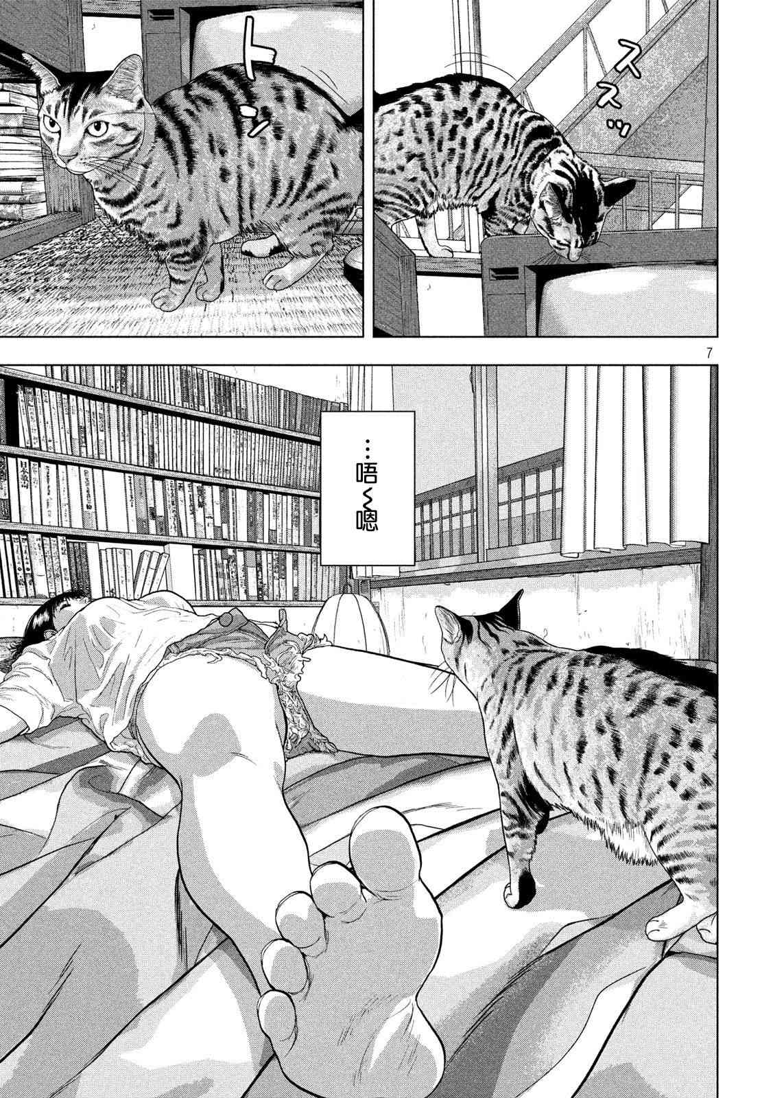 第 7 页