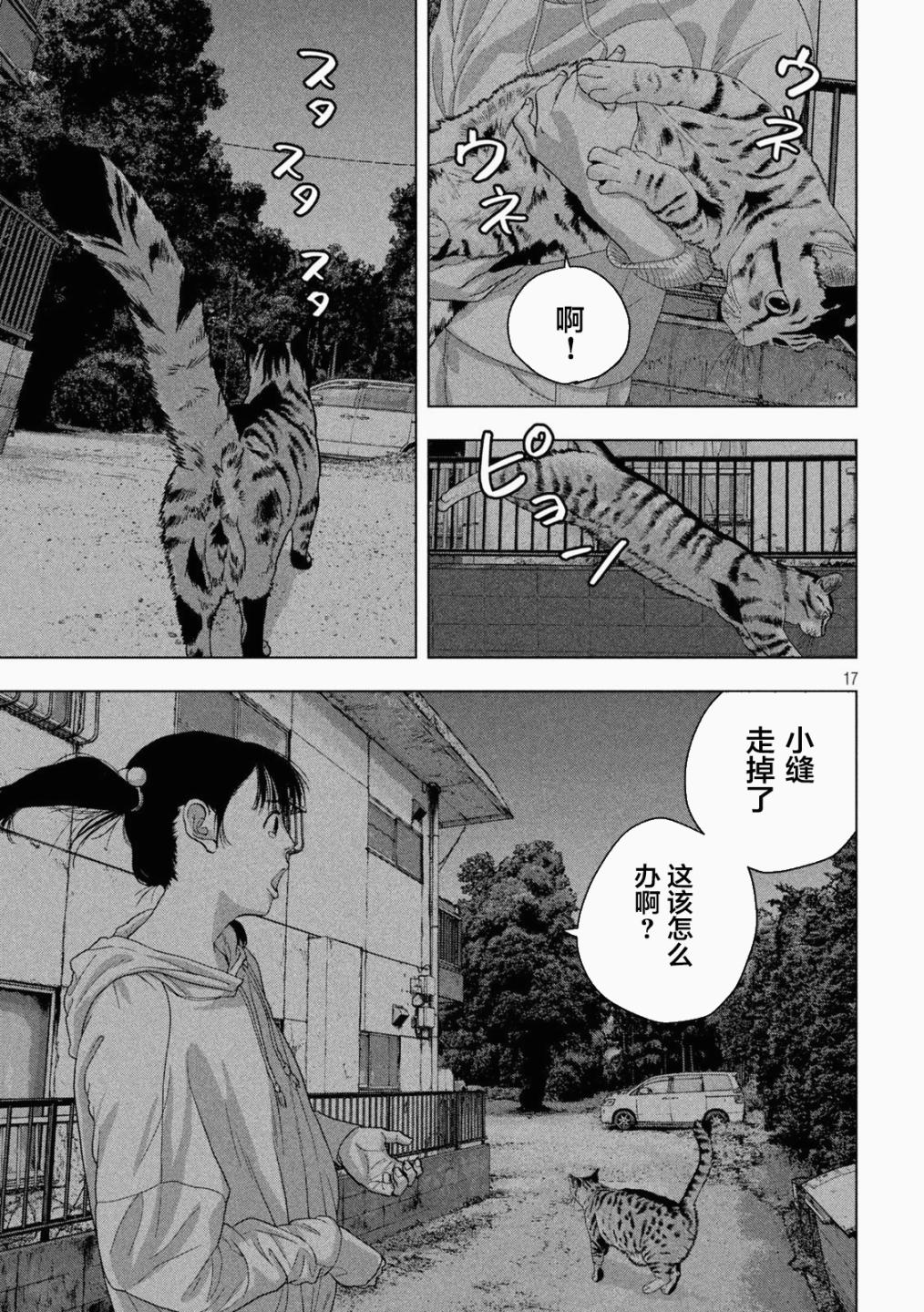 第 17 页