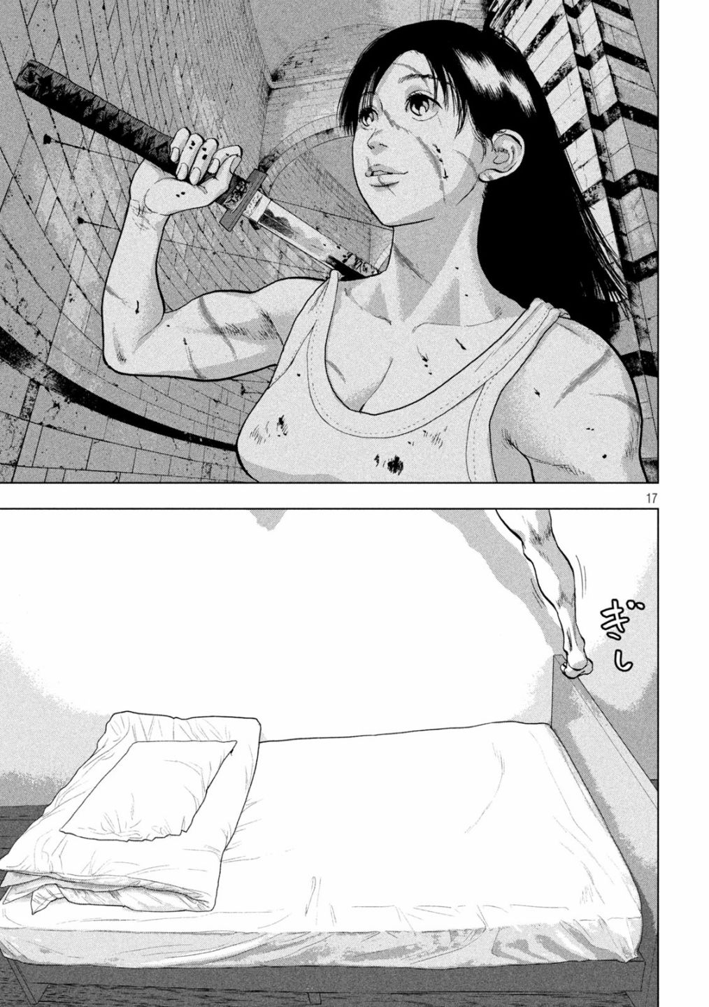 第 17 页