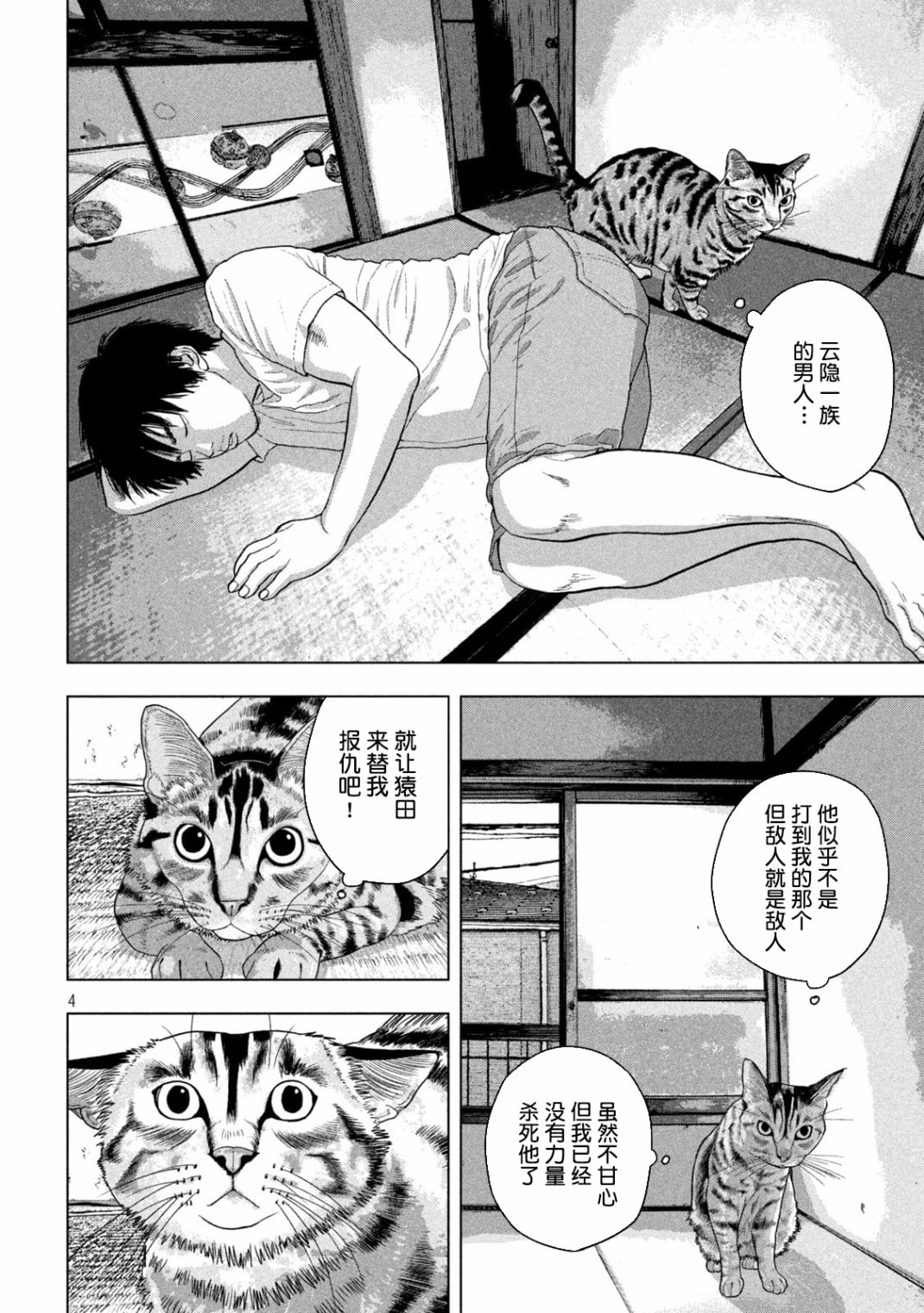 第 4 页
