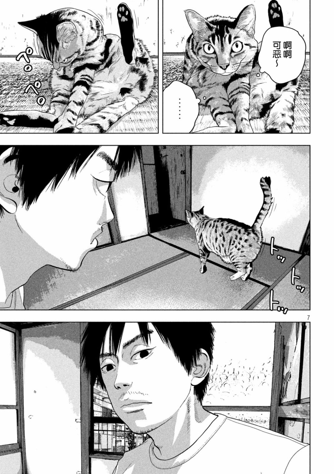 第 7 页