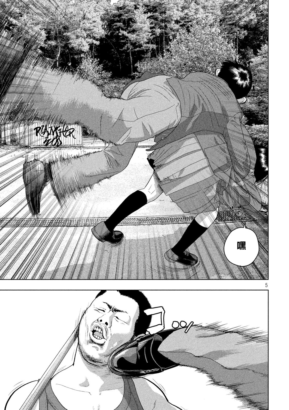 第 5 页
