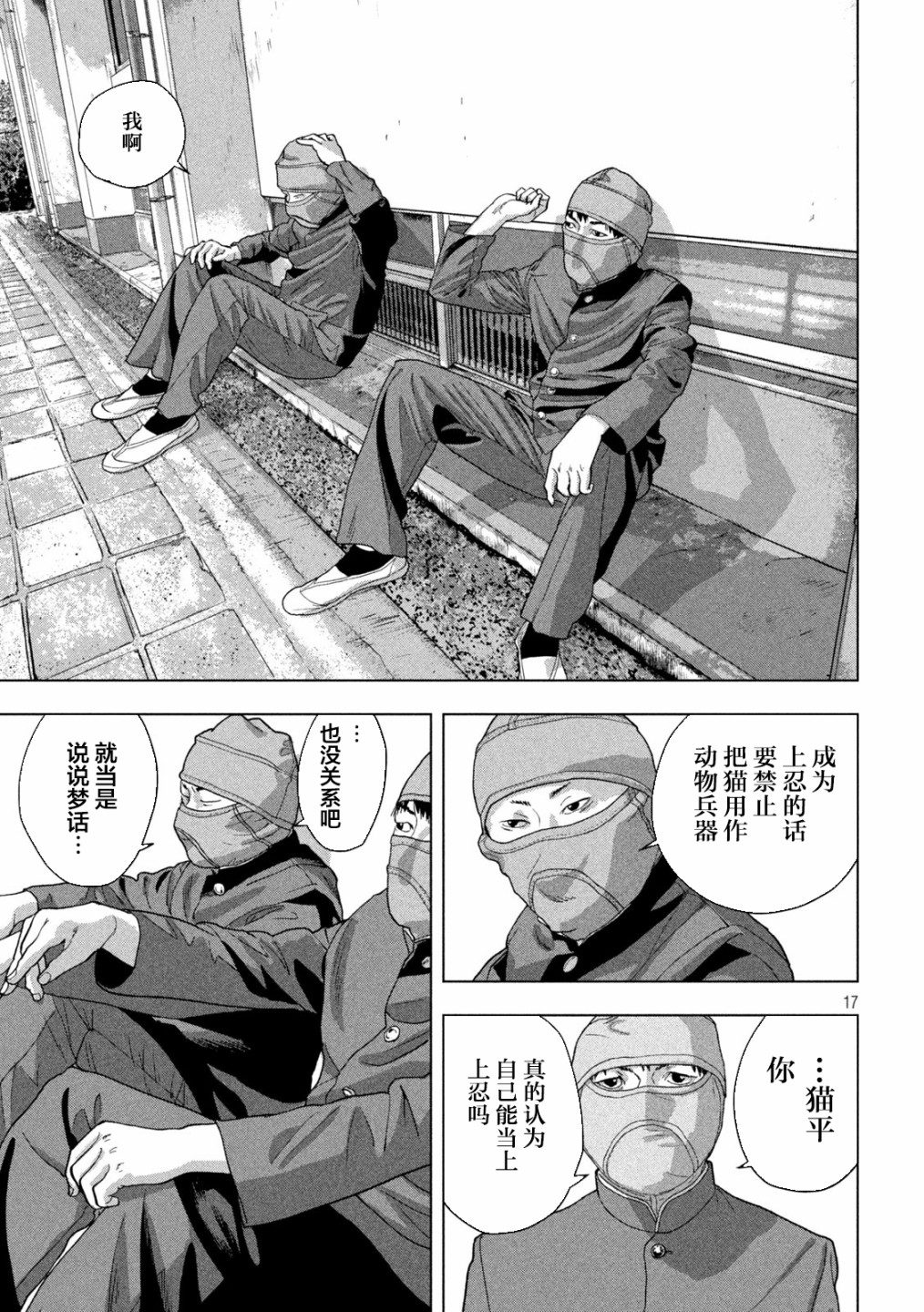 第 17 页