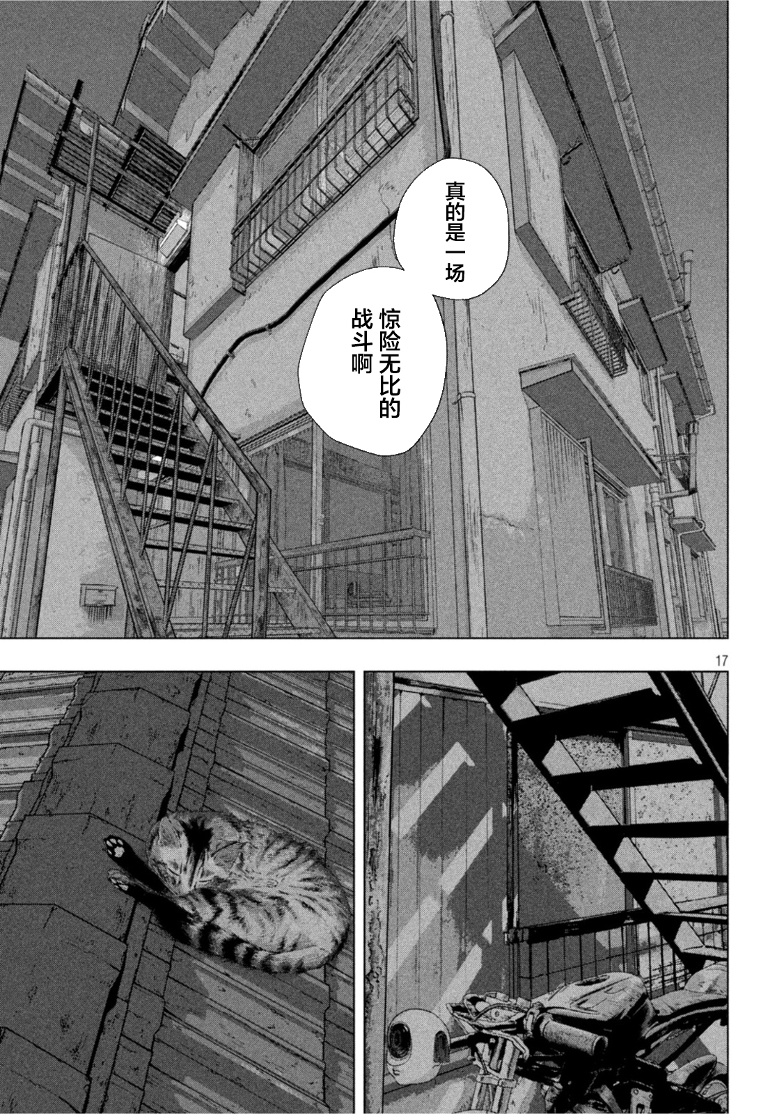 第 17 页