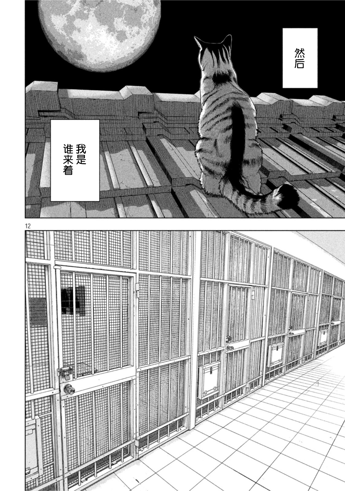 第 12 页