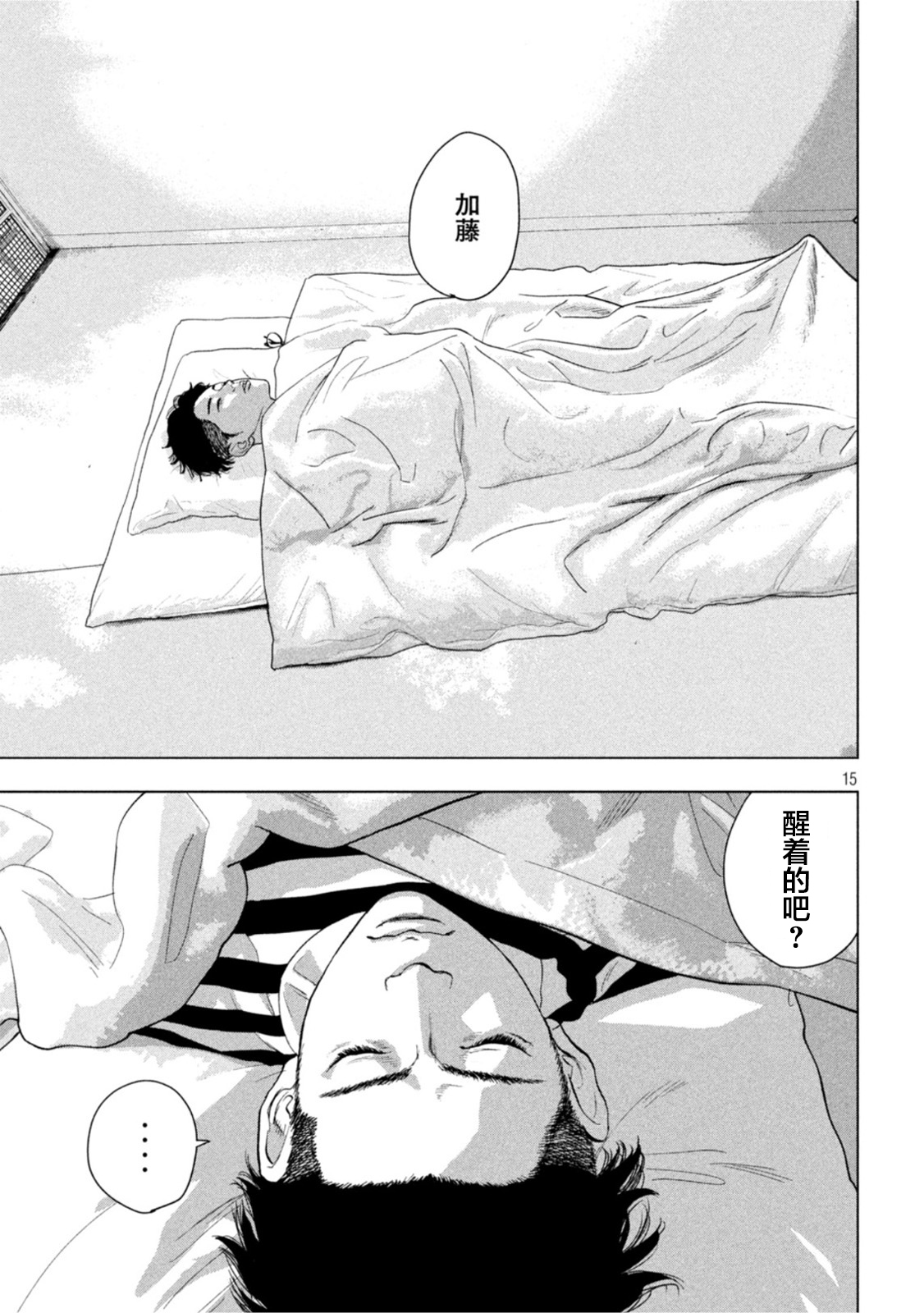 第 15 页