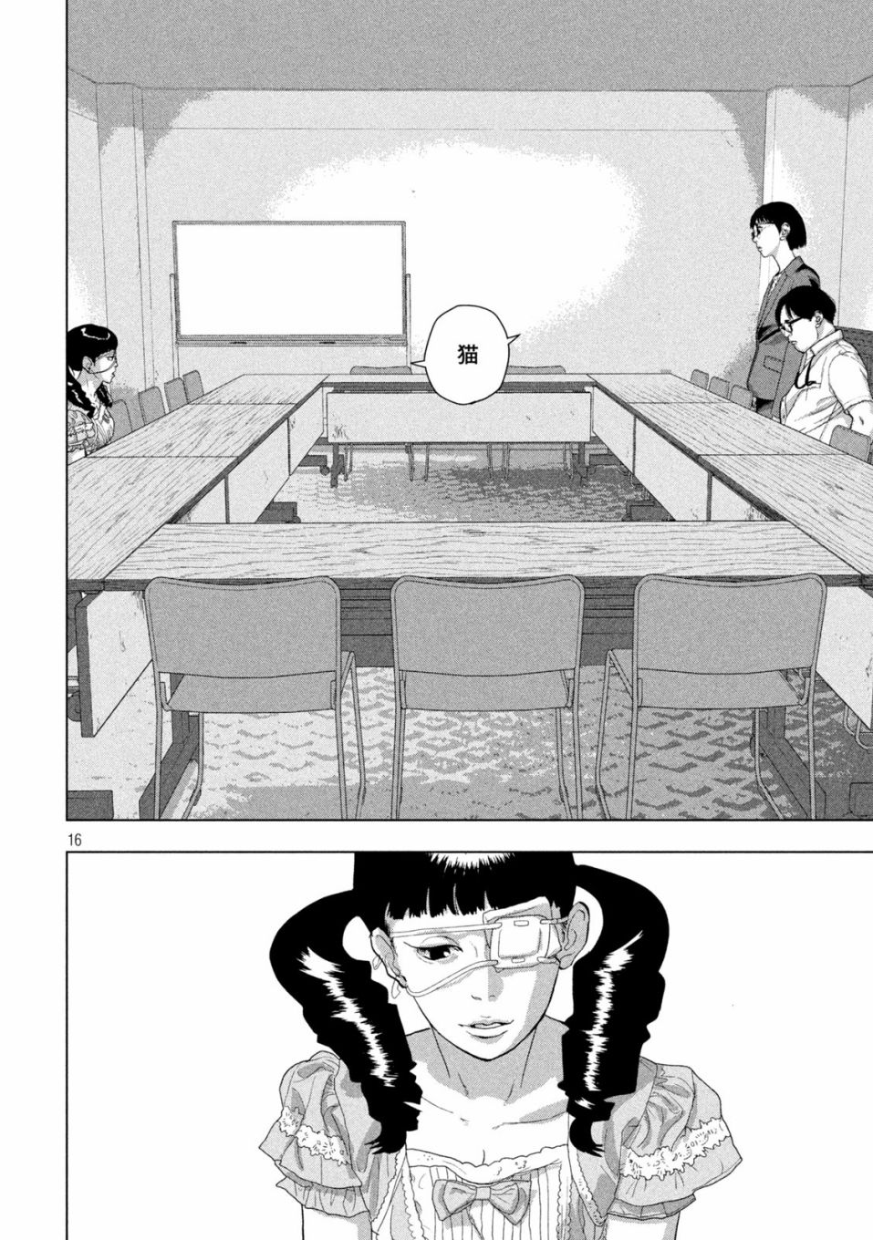 第 16 页