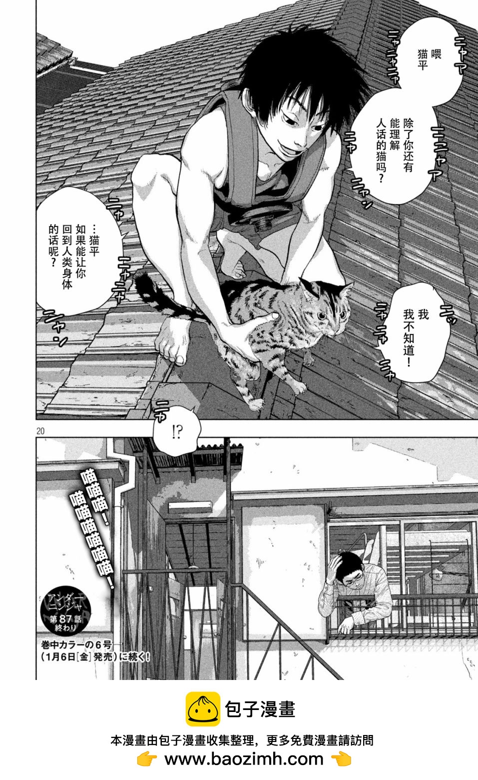 第 20 页