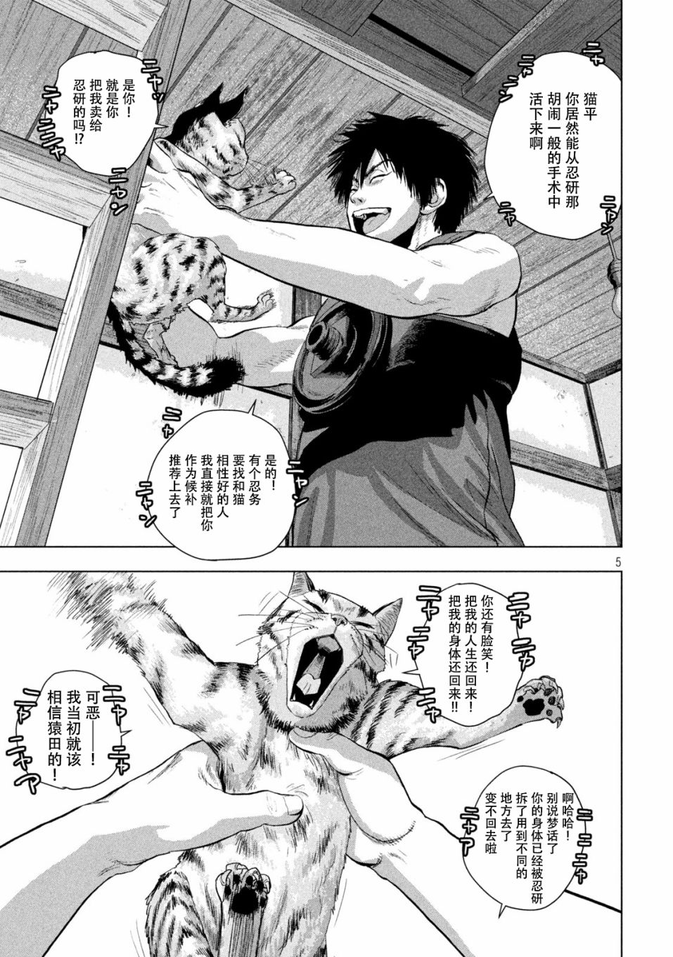 第 5 页
