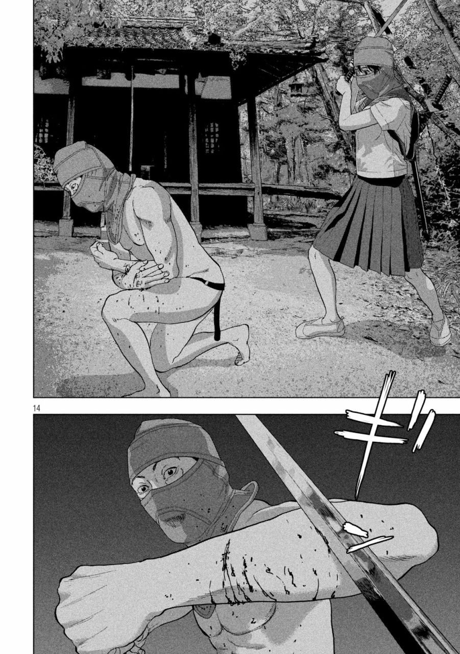 第 14 页