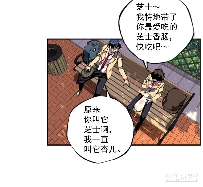第 46 页