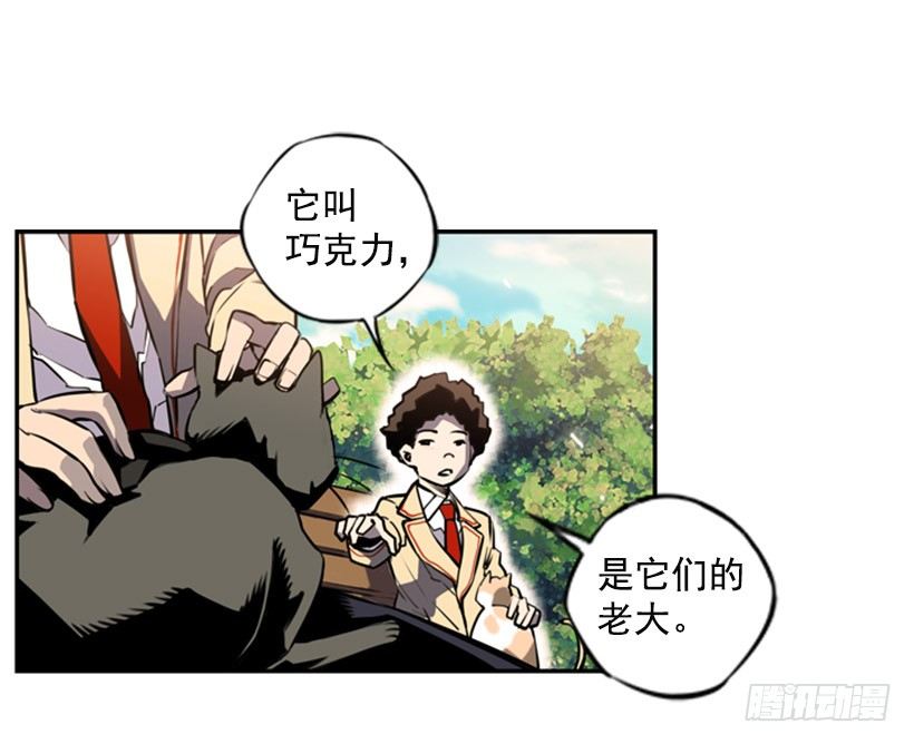 第 47 页