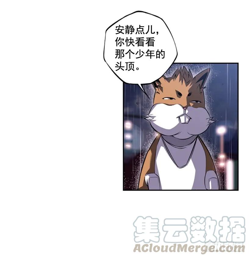 第 45 页