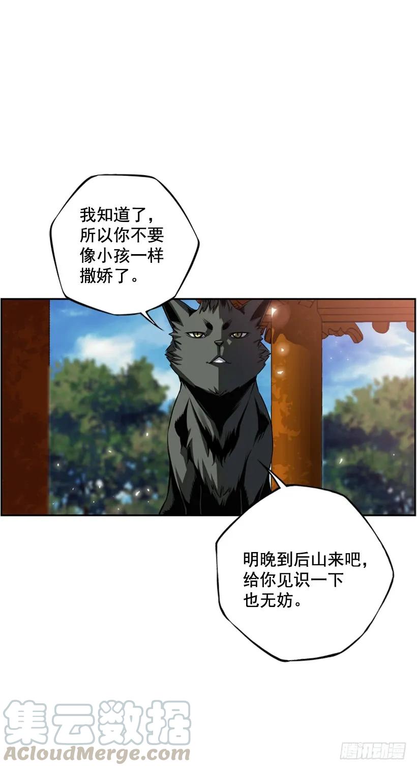 第 61 页