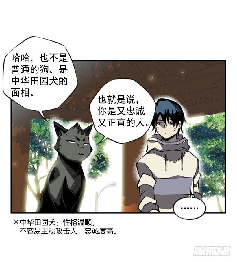 第 38 页