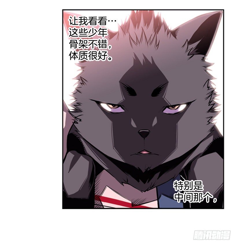 第 36 页