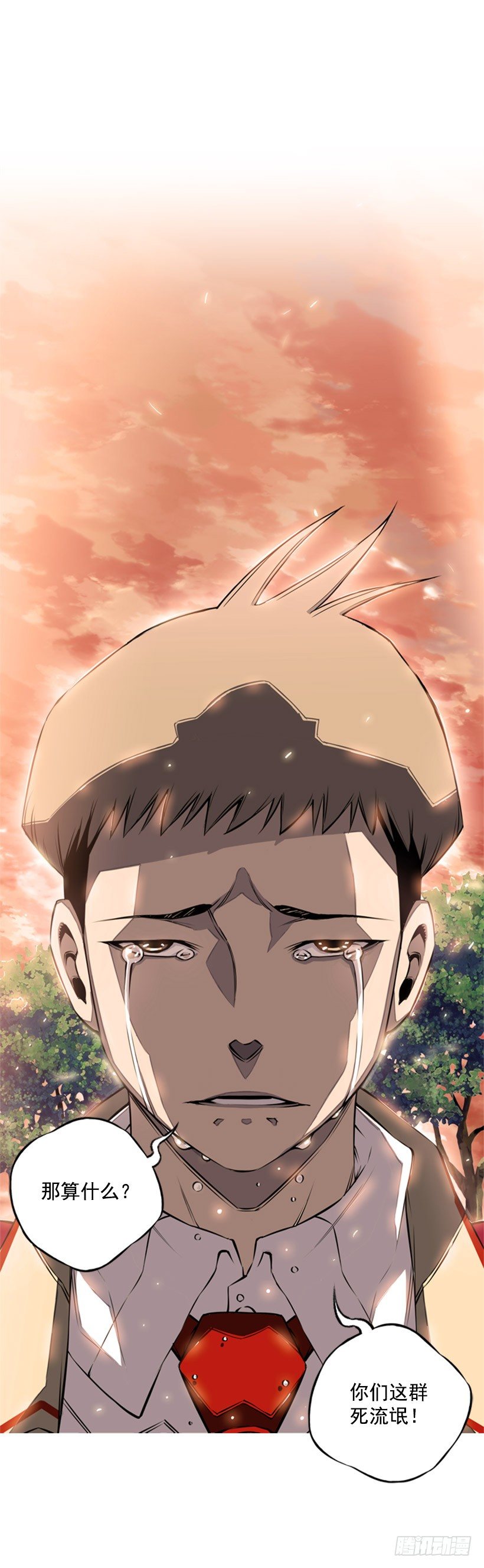 第 41 页