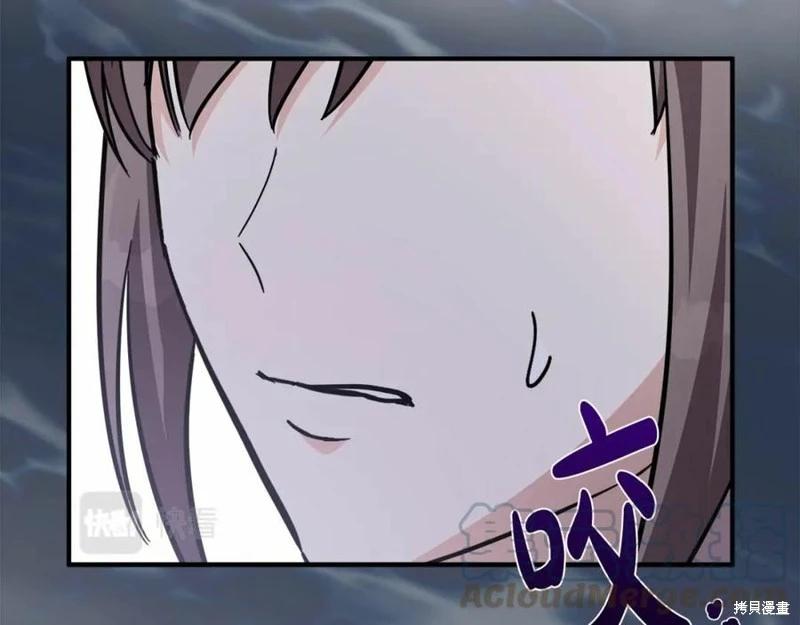 第 205 页
