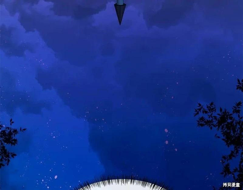 第 215 页