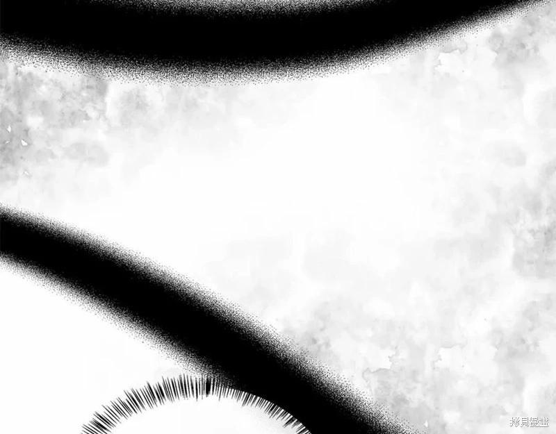 第 222 页