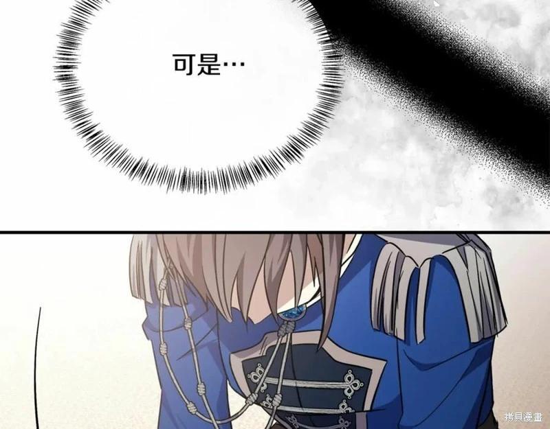 第 223 页