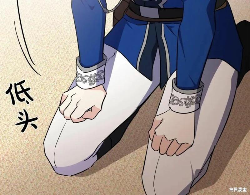 第 224 页
