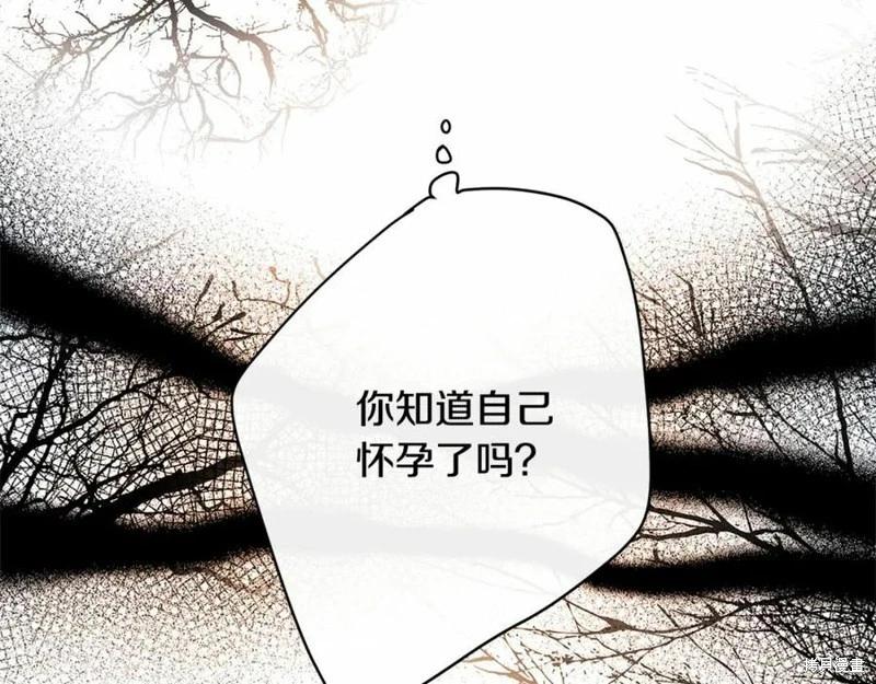 第 235 页
