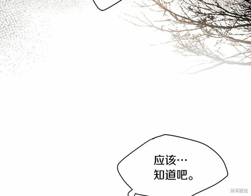 第 236 页
