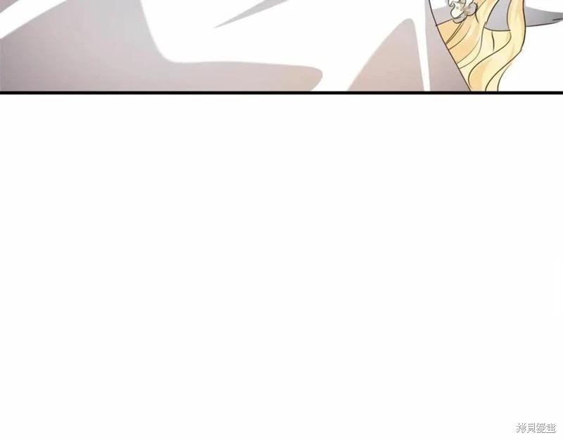第 238 页