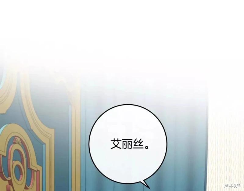 第 113 页